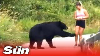 Bear swipes at jogger in hair raising confrontation [upl. by Zoarah]