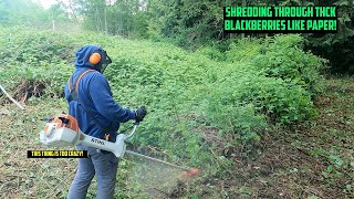 OVERGROWN BRAMBLE vs STIHL FS360 CLEARING SAW Stihl Overgrown satisfying [upl. by Leffen]