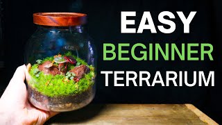 Beginner Terrarium Tutorial  SIMPLE amp EASY Step by Step Guide [upl. by Cohbath723]