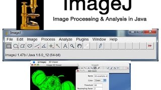 How to download image J [upl. by Ahseuqram997]