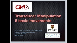 Transducer Basic Movements [upl. by Onailime]