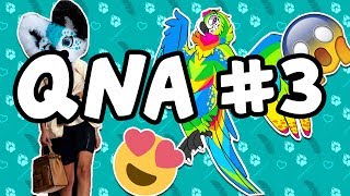 Fursuit Fashion rainbow fursuits and more QnA 3 [upl. by Hoeg755]