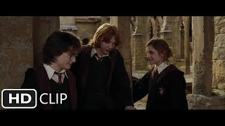 Fairwell scene  Harry Potter and the Goblet of Fire [upl. by Anner673]