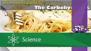 Biomolecules The Carbohydrates [upl. by Luna]