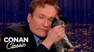 Animal Expert Clyde Peeling Chinchilla amp BlackHeaded Python  Late Night with Conan O’Brien [upl. by Slocum65]