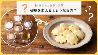 砂糖を変えるとどうなるの？｜クッキーで徹底比較！［macaroniスイーツラボ vol3］ [upl. by Juan]