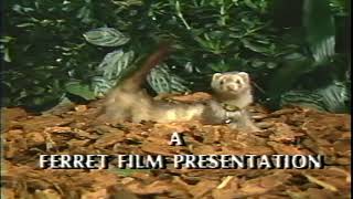 Ferret Films 1978 [upl. by Oraneg]