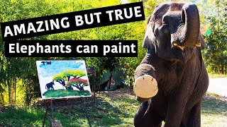 Paintings Made By Elephants in Thailand [upl. by Mobley]