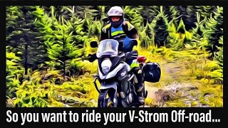 Tips and Tricks for Riding your Suzuki VStrom OffRoad Episode 1 [upl. by Fidellas]