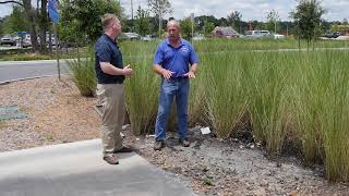 Vegetated Swales Commercial Parking Lot [upl. by Grindle]