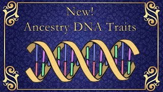 New Ancestry DNA Traits Reviewed [upl. by Nalyk24]