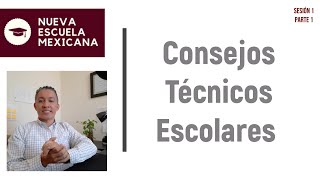 Lineamientos Organización y Funcionamiento de los Consejos Técnicos Escolares [upl. by Britni]