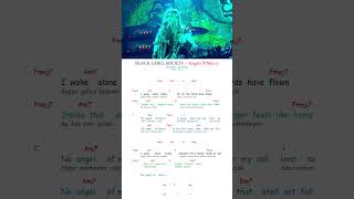 Angel Of Mercy Guitar Chords  Black Label Society [upl. by Sinnard]