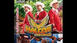 Mix Halcon Huasteco disco completo [upl. by Lynnett]