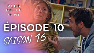 PBLV  Saison 16 Épisode 10  Les Bommel se déchirent [upl. by Jewett]