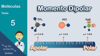 ¿Cómo determinar la POLARIDAD de las moléculas [upl. by Oaks845]