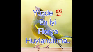 Florya Huylandırma 2021 [upl. by Quintana]