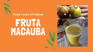 MACAÚBA VOCÊ CONHECE ESSA FRUTA [upl. by Rihana625]