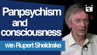 How Panpsychism Can Explain Consciousness  Rupert Sheldrake [upl. by Jordan749]