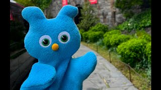 Gilbert at the Met Cloisters [upl. by Acsisnarf]