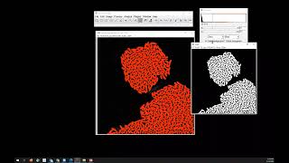 Classic thresholding with FIJI ImageJ [upl. by Amihsat]