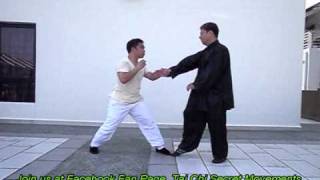 Tai Chi Secret Movements Tai Chi Self Defense Applications With Master Hiu 4 [upl. by Winstonn]