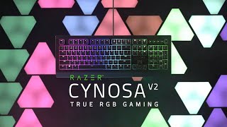 Razer Cynosa V2  True RGB Gaming [upl. by Mellicent102]