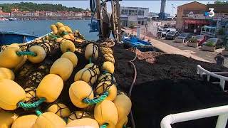 Les thoniers de PortVendres se préparent pour la campagne de pêche 2018 [upl. by Felicidad]