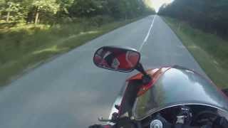 Honda CBR 600 F4i Sport Wheelie [upl. by Hahnert]