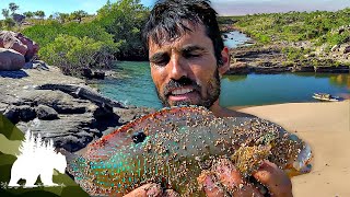 Surviving the Outback 1 Man 30 Days amp 100 Year Old Gear  Survival Documentary [upl. by Rebmit]