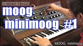 MOOG minimoog 1 DemoampReview [upl. by Enitsuj]