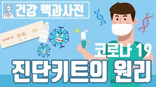 Eng 1분만에 코로나19 확진자 판별 진단키트의 원리 세모지 [upl. by Chara859]