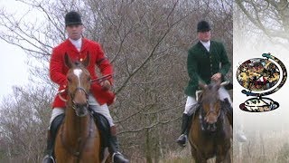 Should Fox Hunting be Banned 2002 [upl. by Abebi]