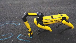 New Skills of Boston Dynamics Robots amp Public [upl. by Liris]