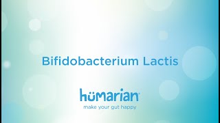 Bifidobacterium Lactis [upl. by Trofmoc185]