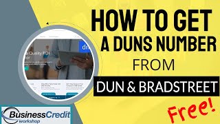 How to Get a DUNS Number from Dun and Bradstreet [upl. by Armillda]