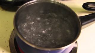 Water Boiling In A Pot [upl. by Erdried17]