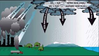 Acid Rain Presentation [upl. by Anneyehc]