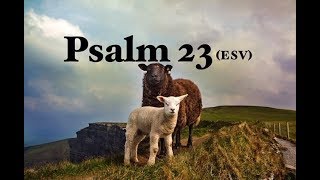 Psalm 23 ESV [upl. by Ilatfen]