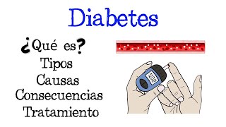 🩸 ¿Qué es la Diabetes 🩸 Tipos Causas Consecuencias y Tratamiento Fácil y Rápido  BIOLOGÍA [upl. by Joappa]