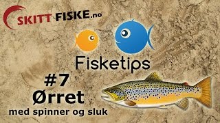 Fisketips 7 med Skitt Fiske  Ørretfiske med sluk og spinner [upl. by Granniah]