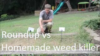 How to Make homemade weed killer and show results vs Roundup [upl. by Nnaitak]