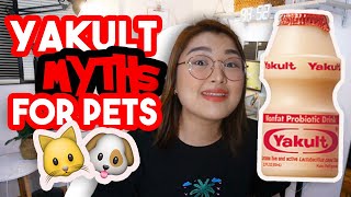 PWEDE BA ANG YAKULT SA ASO o PUSA  Debunking Pet Myths Arah Virtucio [upl. by Glanti]