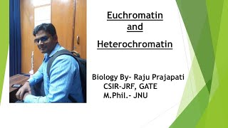 Euchromatin amp Heterochromatin [upl. by Lizzy496]