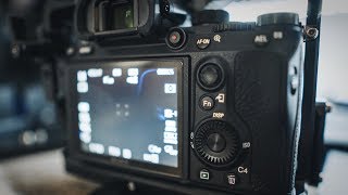 Quick Tip for when your Sony Viewfinder goes Black  A7iii  A7Riii  A6500 [upl. by Wilinski]