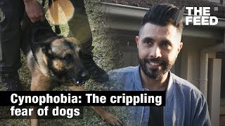 Cynophobia The crippling fear of dogs [upl. by Eirrok]