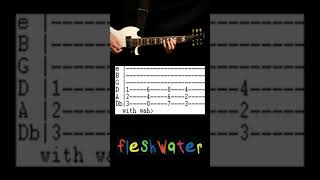 Fleshwater Kiss The Ladder Guitar Tab Cover [upl. by Marylee]