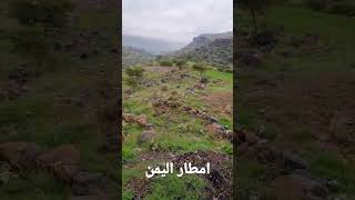 الماء والخضرة والوجه الحسن [upl. by Hulburt]