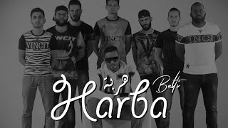 Balti  Harba Official Music Video [upl. by Atinahc]