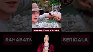 Sahabat Sejatinya Yaitu Seekor Serigala [upl. by Lenna479]